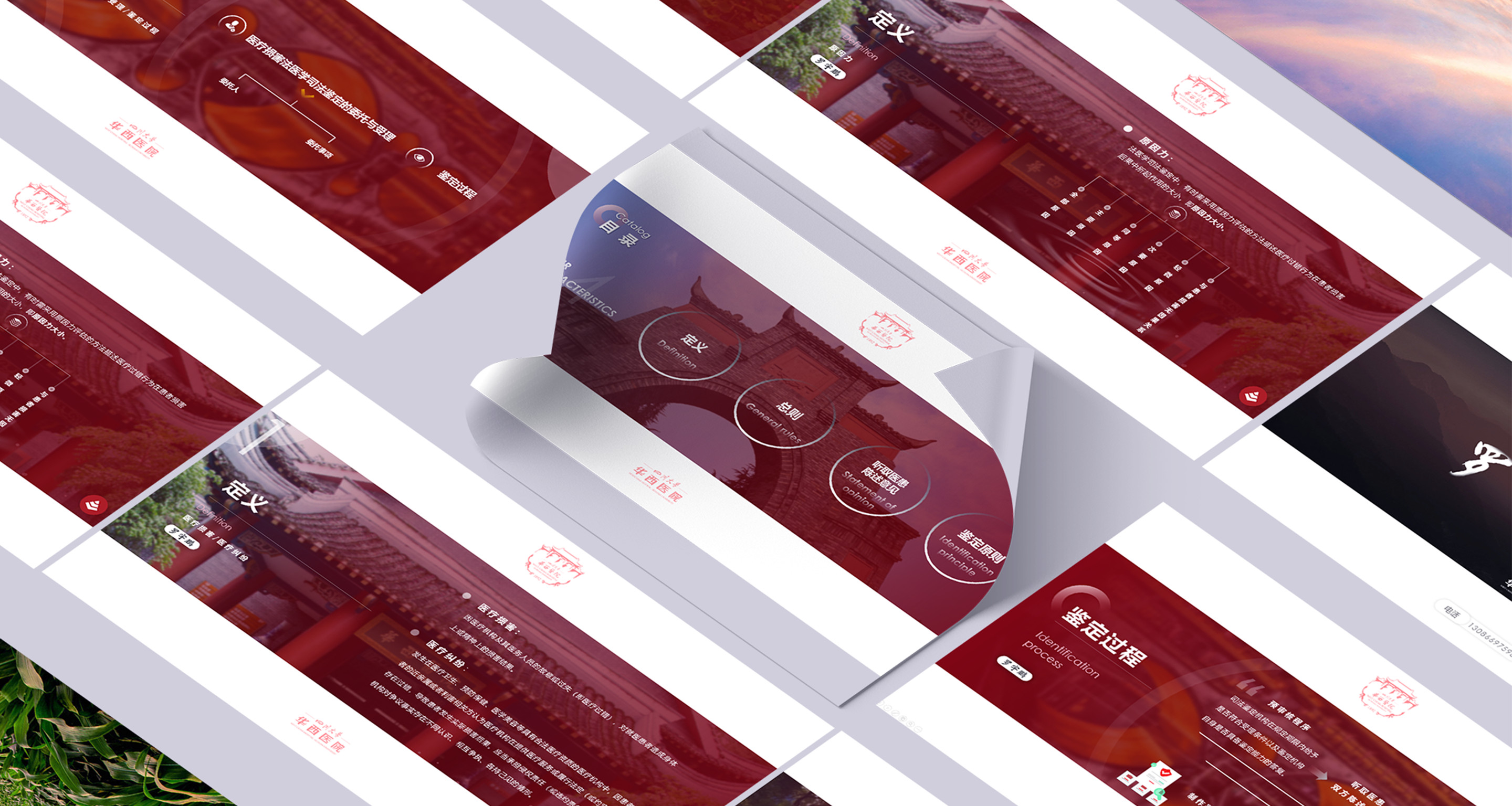 Medical guidance PowerPoint